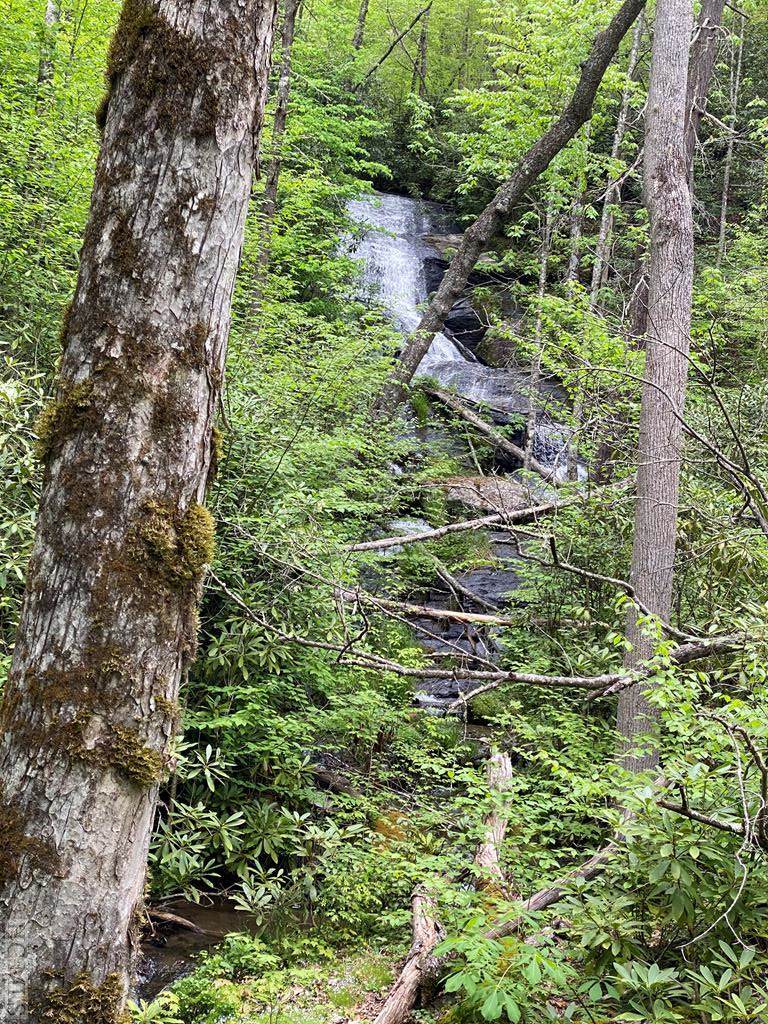 121 Bear Track Drive - Photo 1