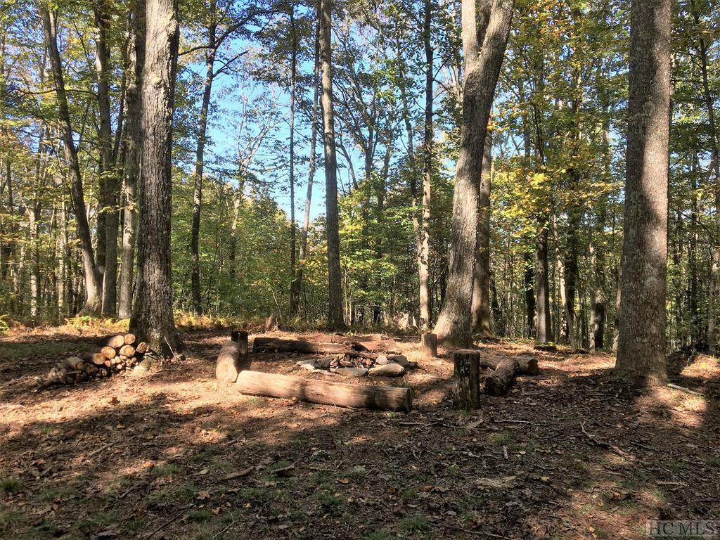 68D &69D Rye Mountain Drive - Photo 1