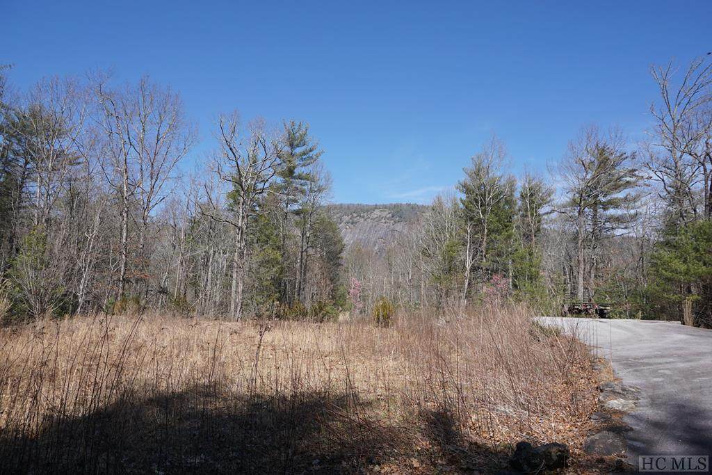 0 Horse Cove Road - Photo 1