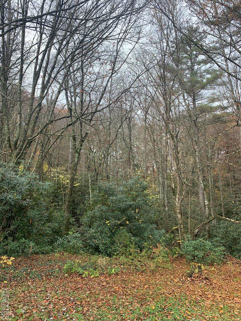 0 Gold Mine Road - Photo 1