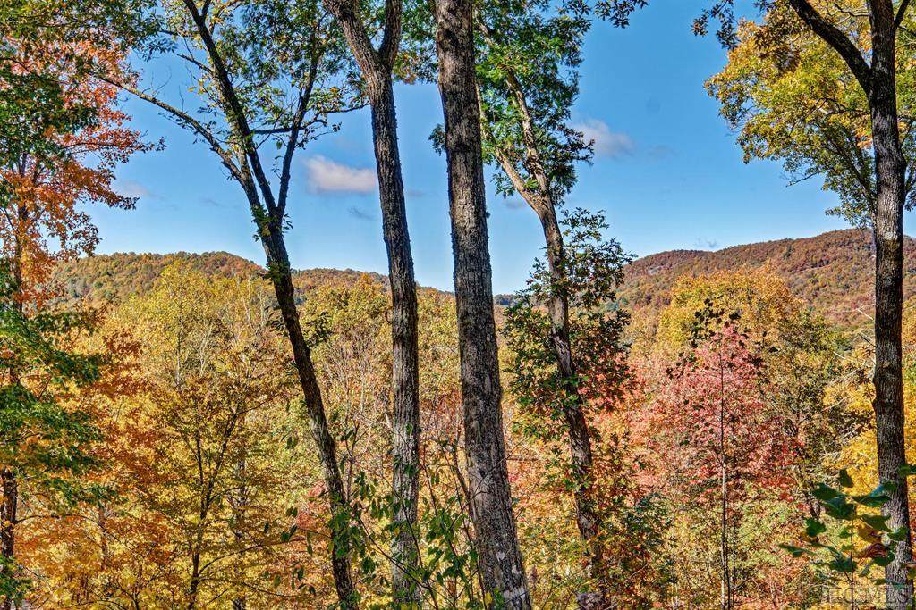 400 Trails End Lane - Photo 1