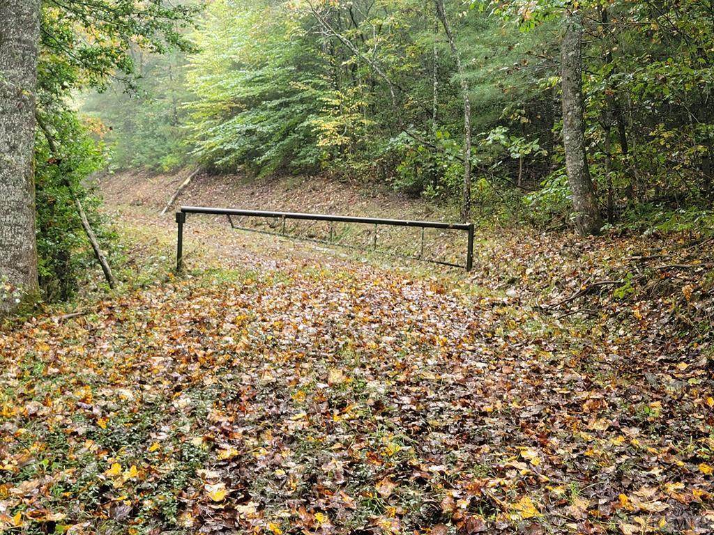 00 Willis Cove Road - Photo 1