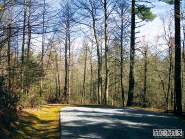 Lot 25 Cliff Ridge - Photo 1