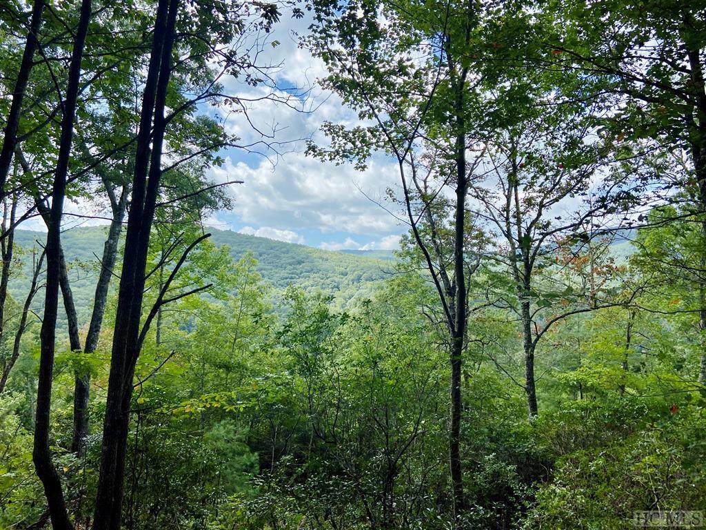 TBD Honey Mountain Lane - Photo 1
