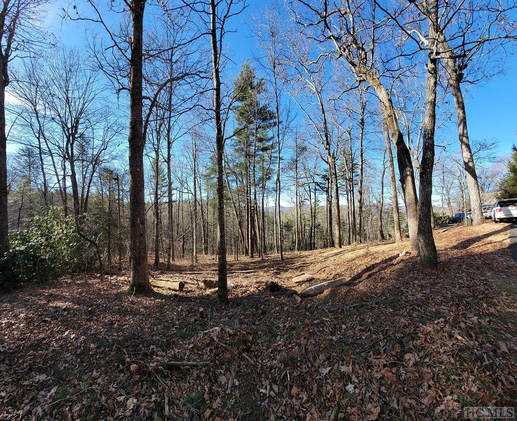 Lt 30 Birch Creek Trail - Photo 1