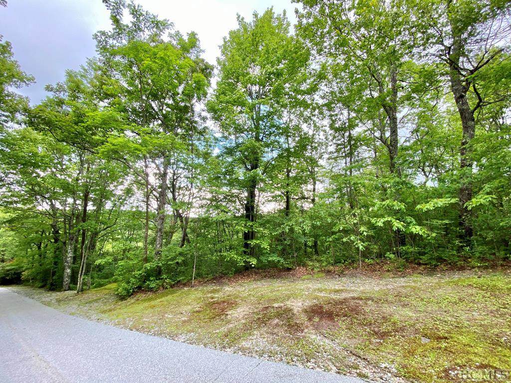 48 Falcon Ridge Road - Photo 1