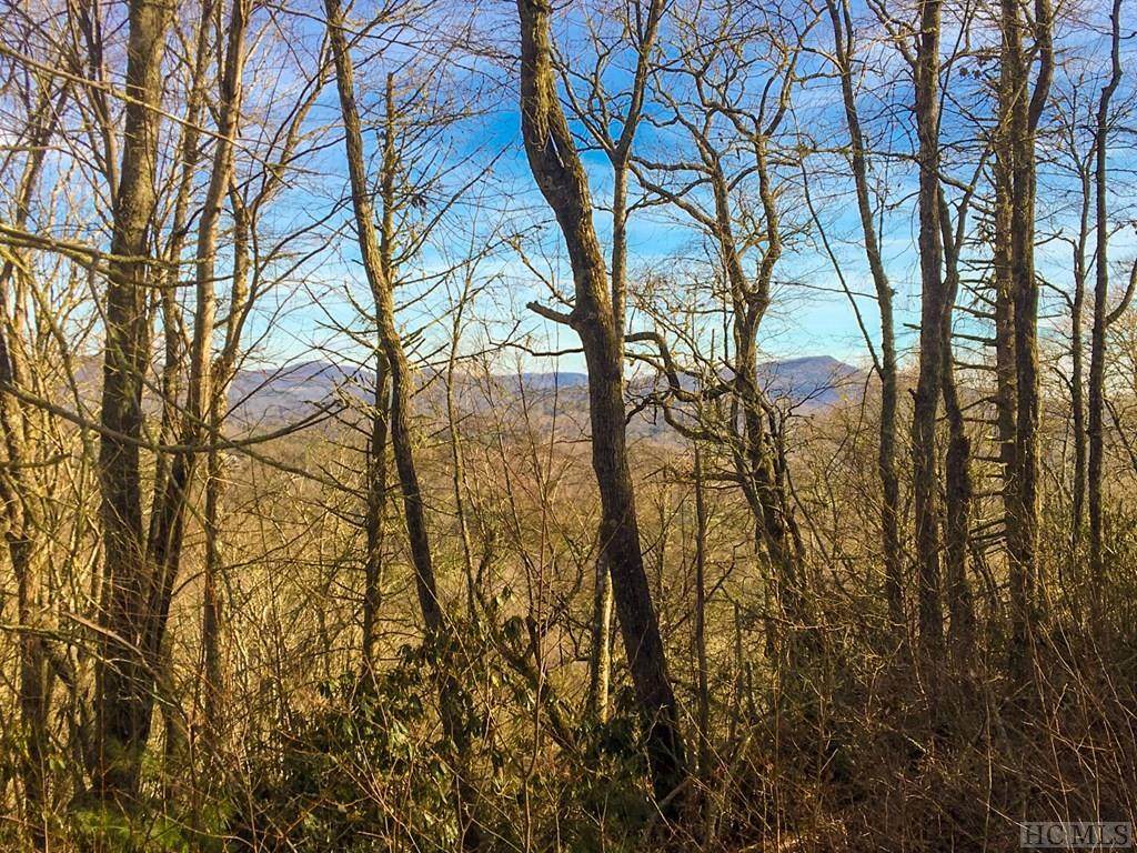 Lot 18 Piney Knob Trail - Photo 1