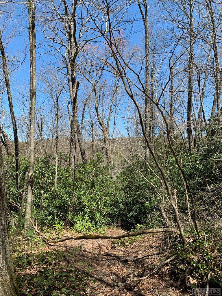 Lot 86 Willow Way - Photo 1