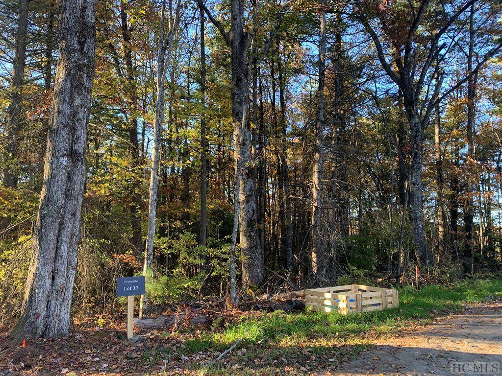 Lot 17 Wayfaring Road - Photo 1