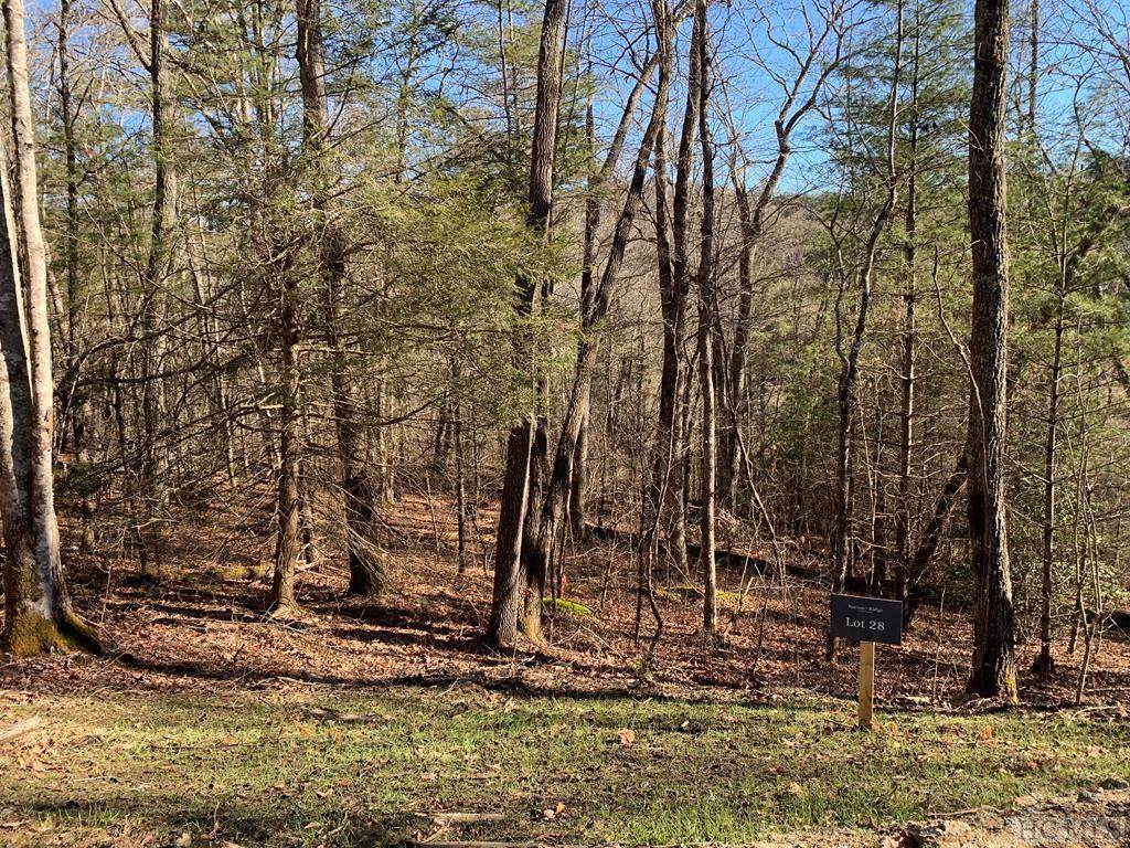 Lot 28 Wayfaring Road - Photo 1