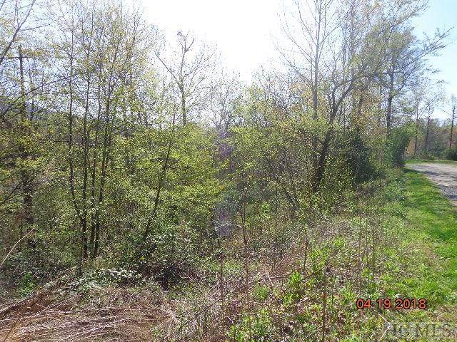 171 Flying Squirrel Ridge - Photo 1