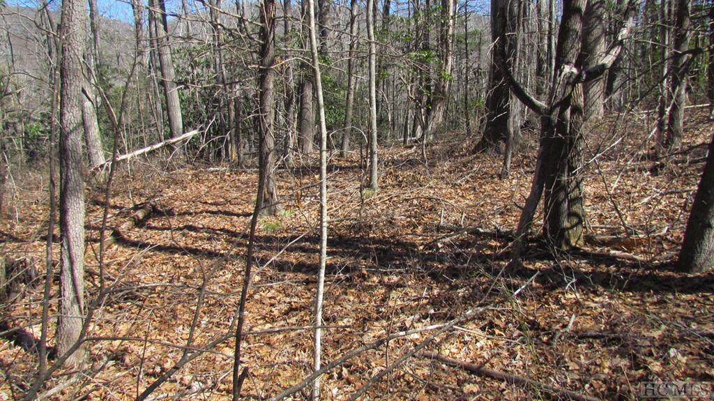 Lot 16 Locust Ct - Photo 1