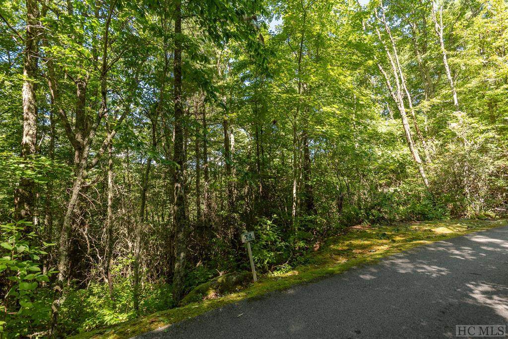 Lot 24 Wildberry Lane - Photo 1