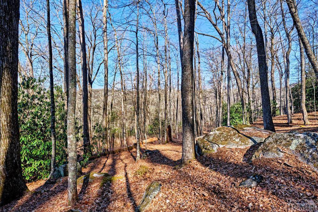 Lot 14 Climbers Spur - Photo 1