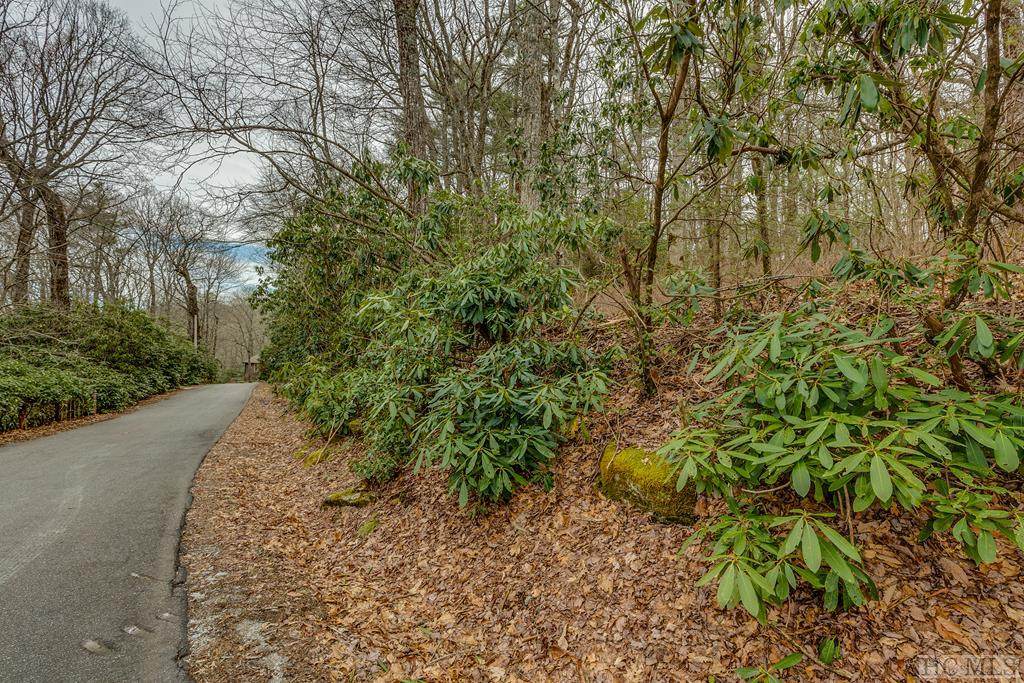 TBD Mount Lori Drive - Photo 1