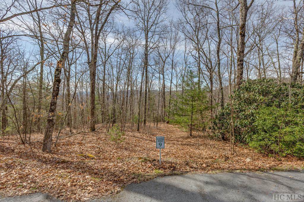 Lot 9 Ridge View Road - Photo 1