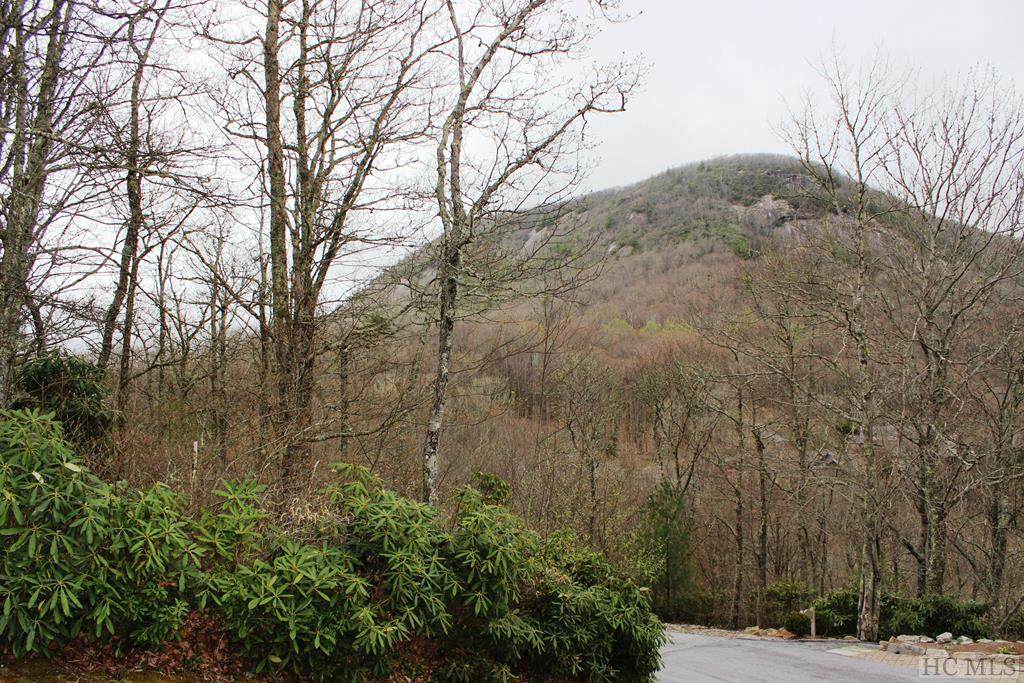 Lot 148 Forest Edge Lane - Photo 1