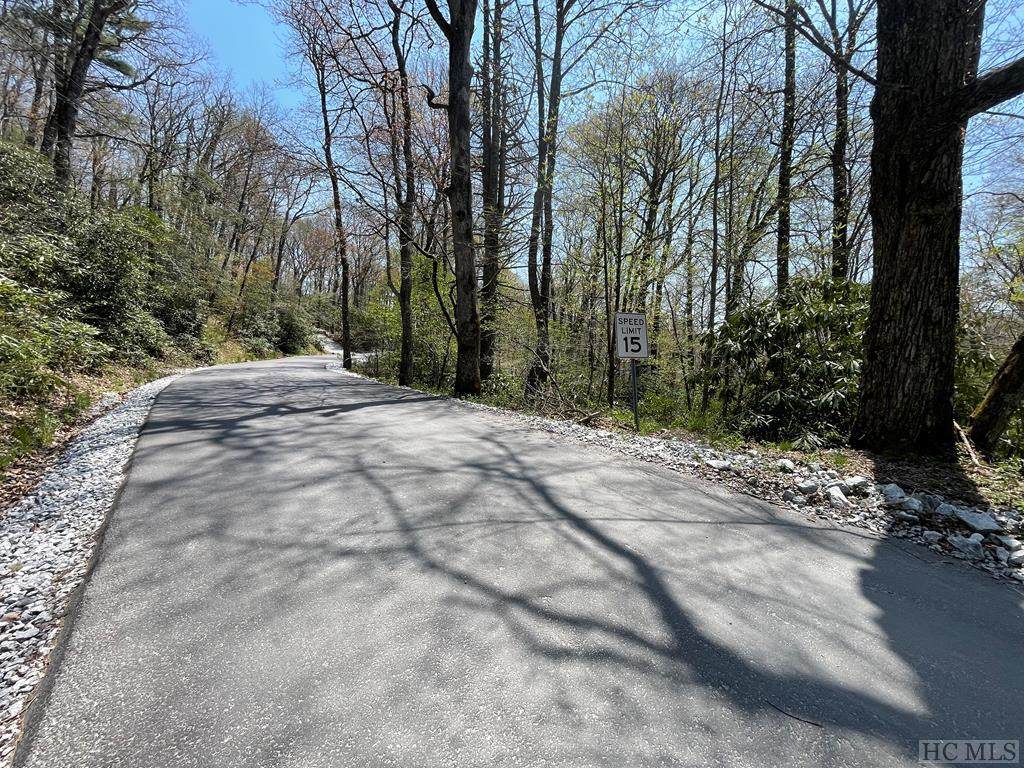 Lot 33 Big Bear Pen Road - Photo 1