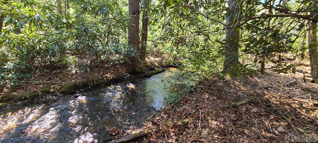 Lot 92 Buckberry Drive South - Photo 1