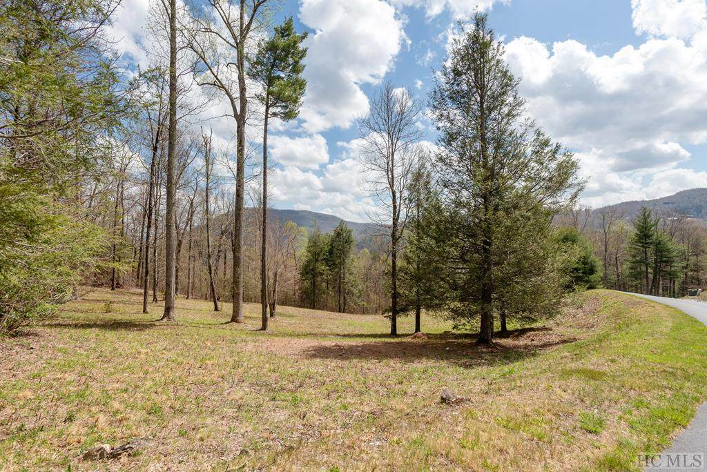 Lot 18 Wildcat Lane - Photo 1