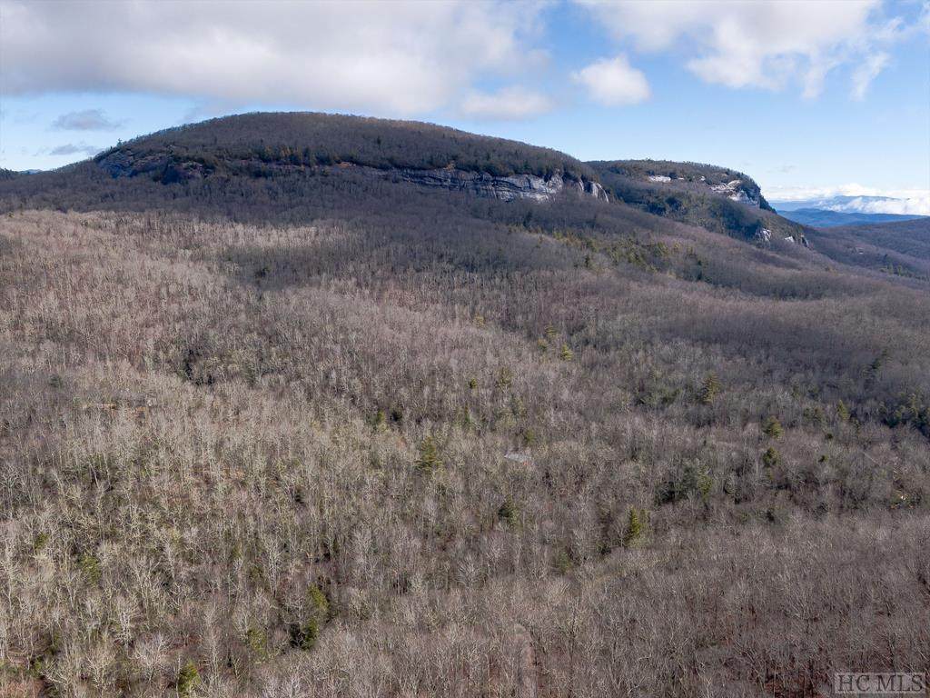 5458 Cold Mountain Road - Photo 1