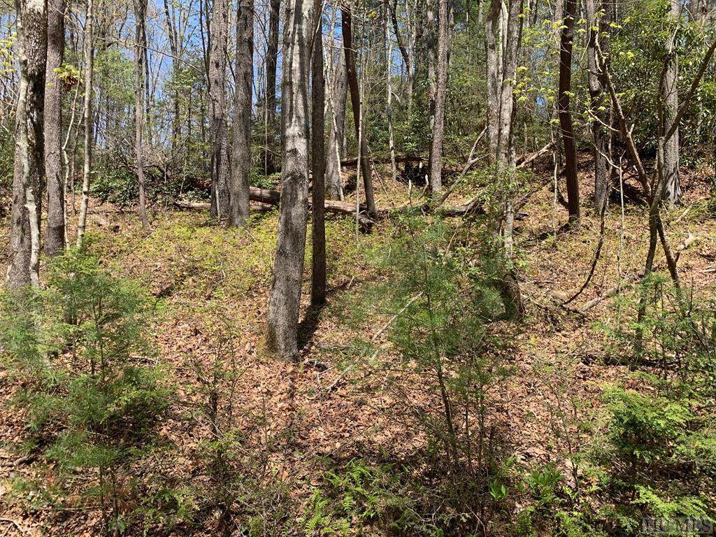 Lot 129 East Christy Trail - Photo 1