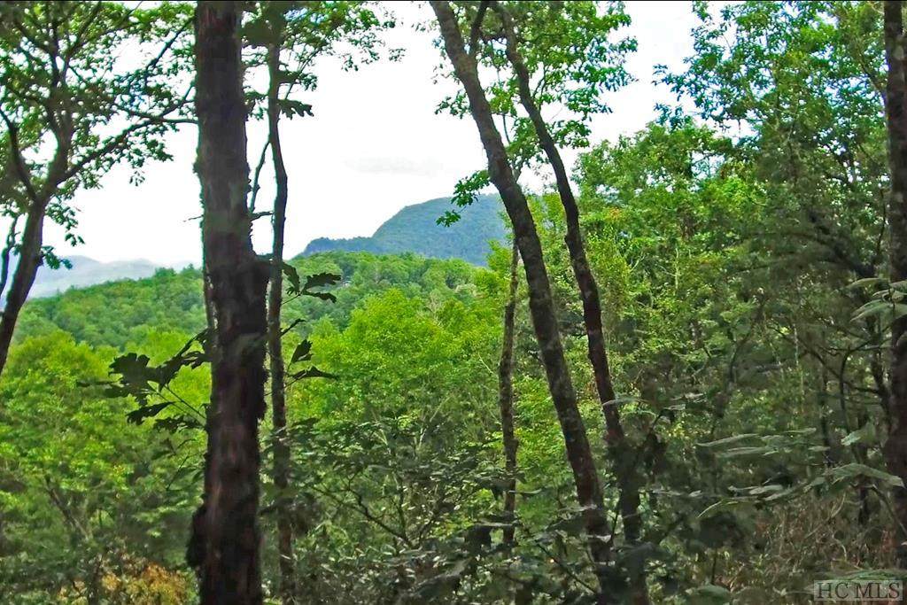 85 Double Branch Road - Photo 1