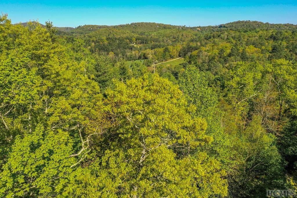 Lot 4 Mantle Ridge - Photo 1