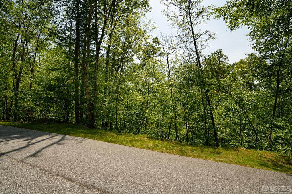 Lot 7 New Trillium Way - Photo 1