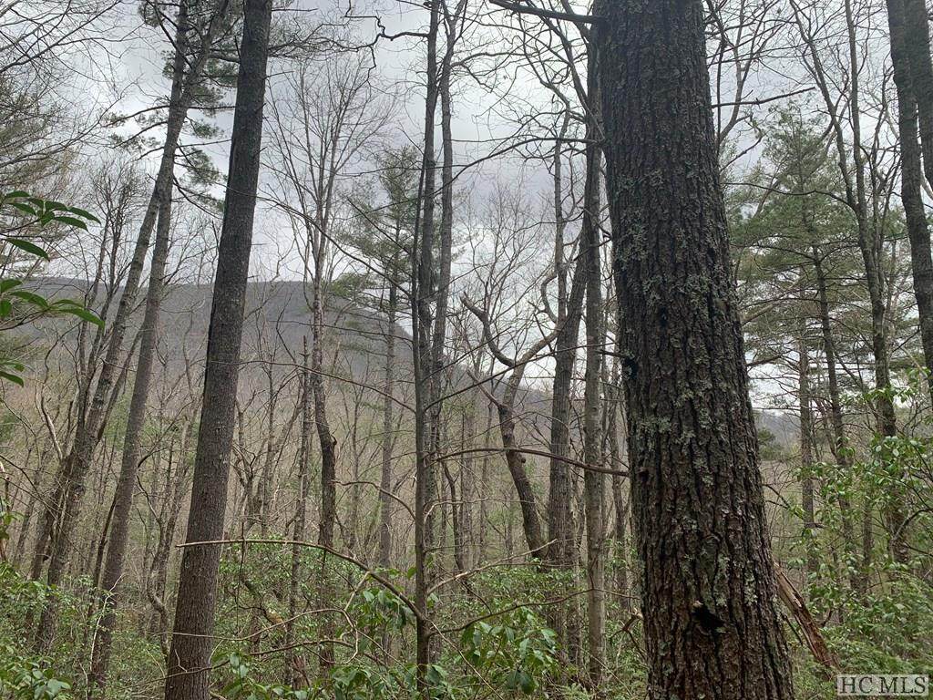 L051 Rocky Ridge Road - Photo 1