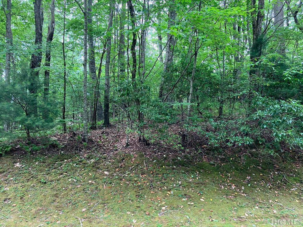 Lot 1-C Lofty Lane - Photo 1