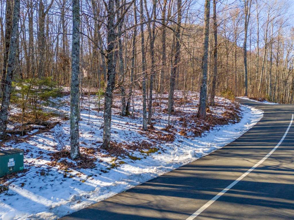 156 Windrush Trail - Photo 1