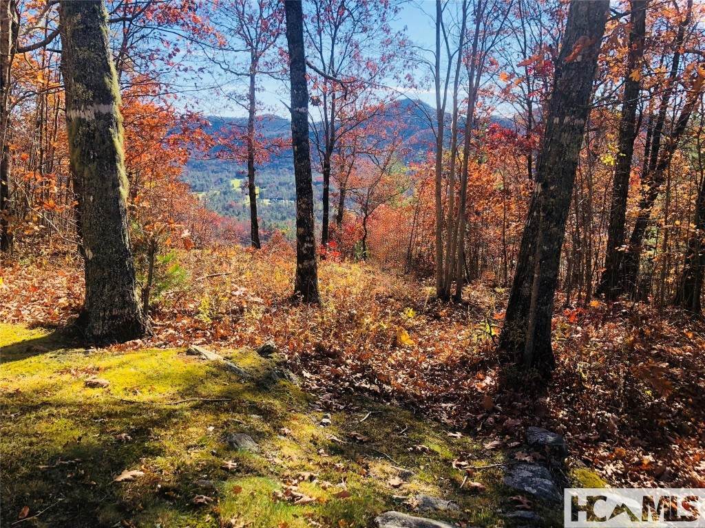 Lot 8 Windemere Drive - Photo 1