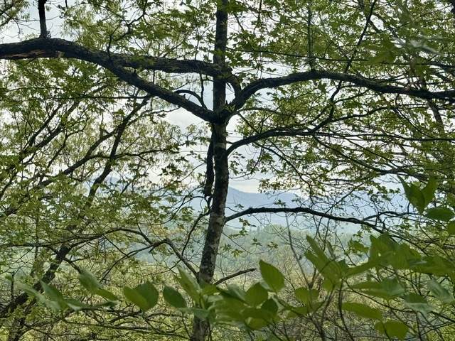 0 Bellaire Estates - Photo 1