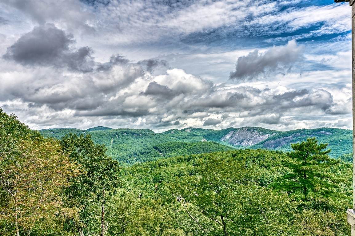 664 Chattooga Ridge Trail - Photo 1