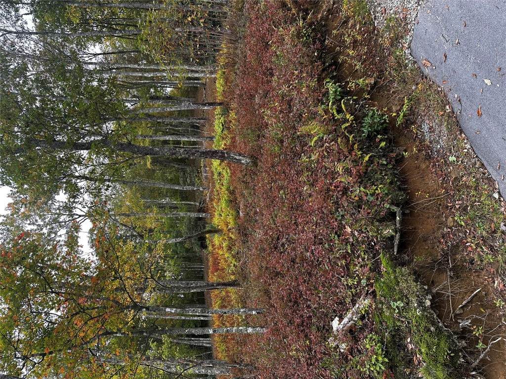 38 Hidden Grouse Lane - Photo 1