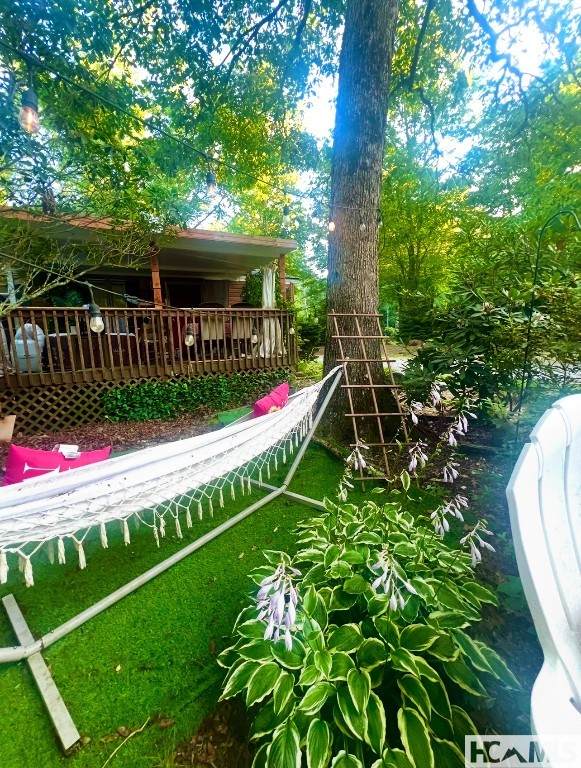 45 Tomahawk Lane Drive - Photo 1