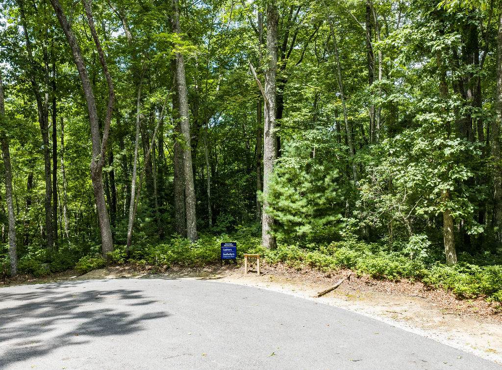 6 Lone Panther Ridge - Photo 1