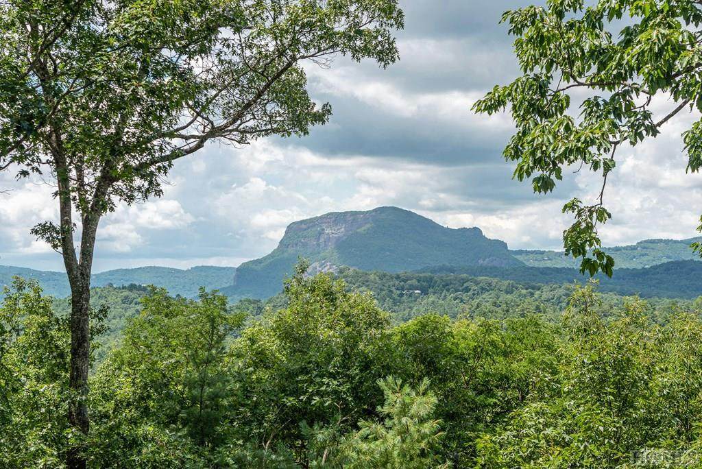 1781 Chimneytop Trail - Photo 1