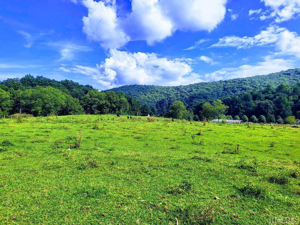 0 Tanassee Gap Road - Photo 1