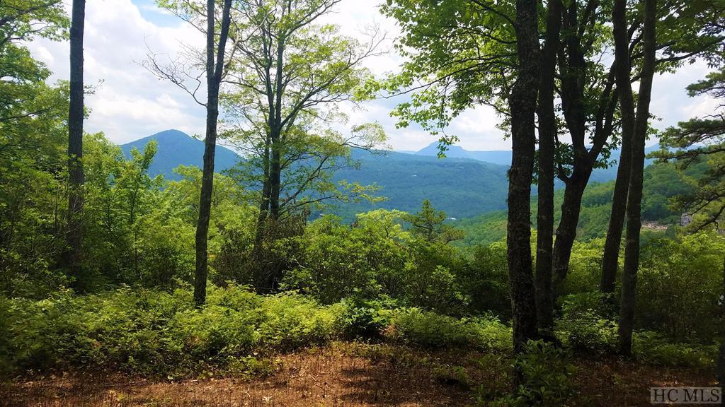 Lot 19 Feldspar Lane - Photo 1