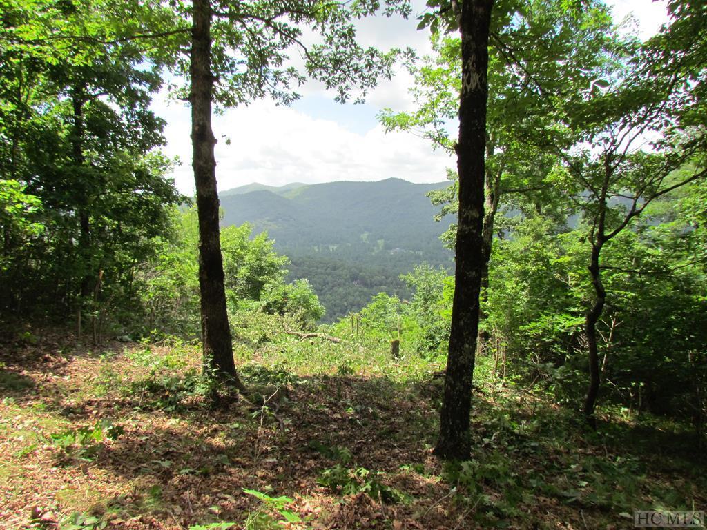 Lot 8 Windemere Way - Photo 1