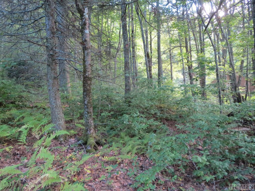 Lot 220 Highlands Cove Drive - Photo 1