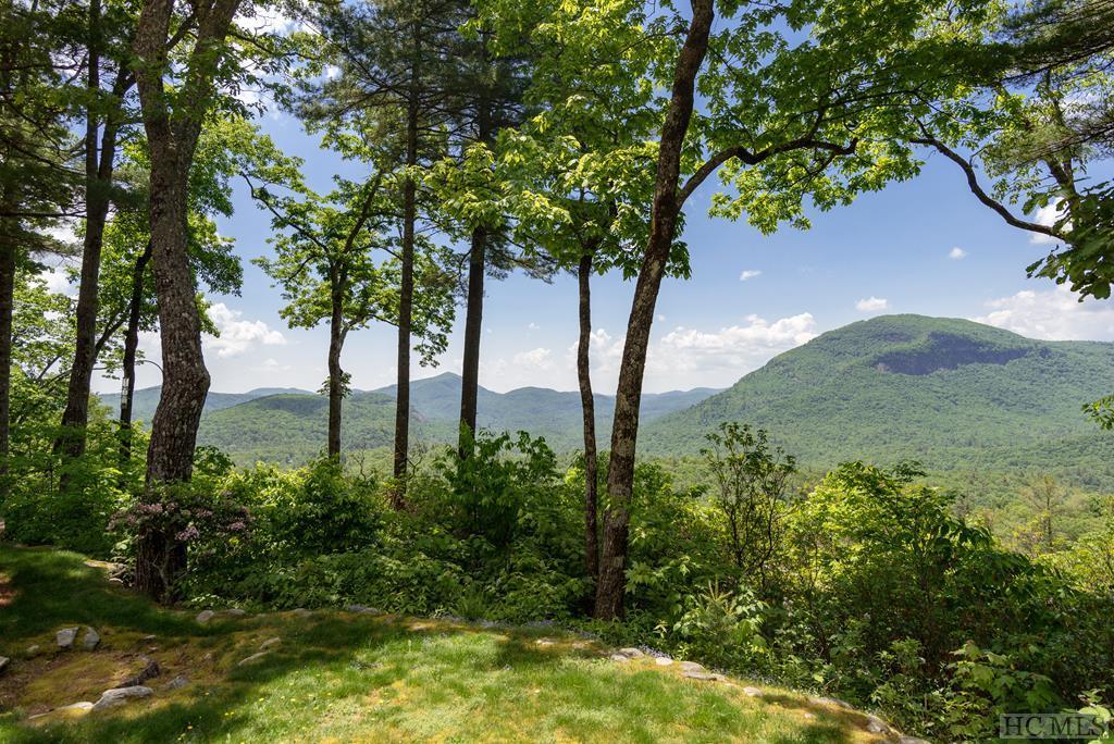 242 Barefaced Ridge - Photo 1