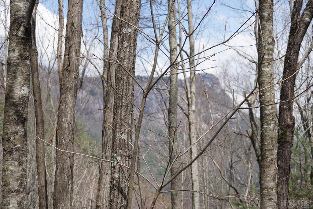 TBD Falcon Ridge - Photo 1