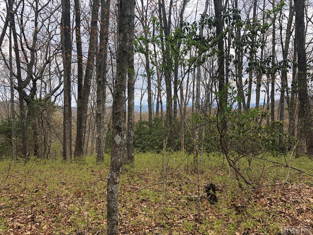 Lot 33 N/A - Photo 1