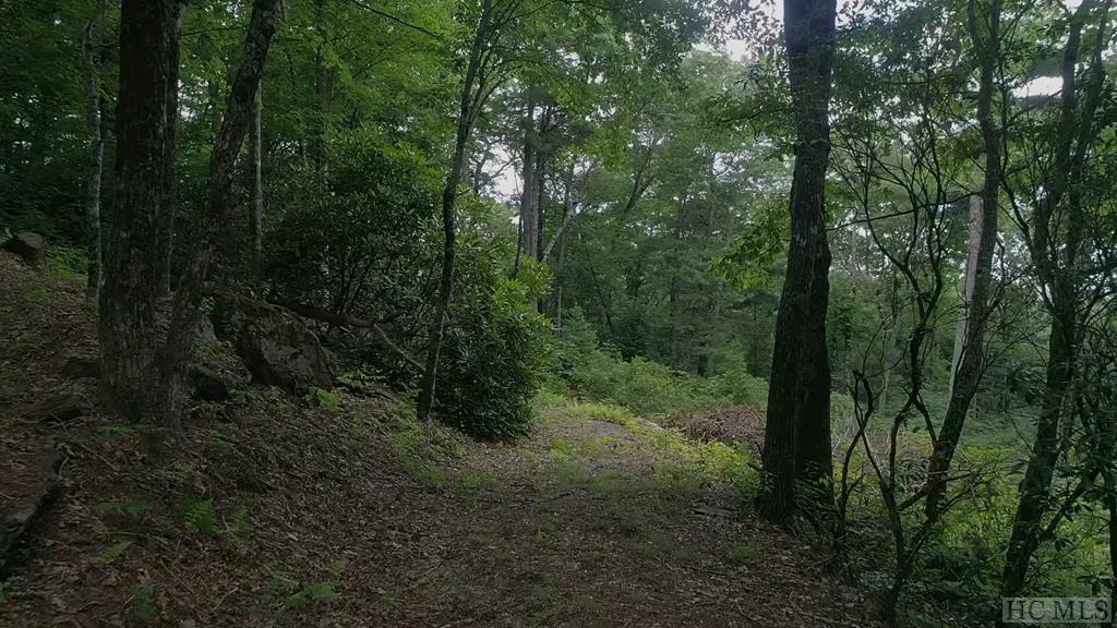 TBD Cowee Ridge Road - Photo 1