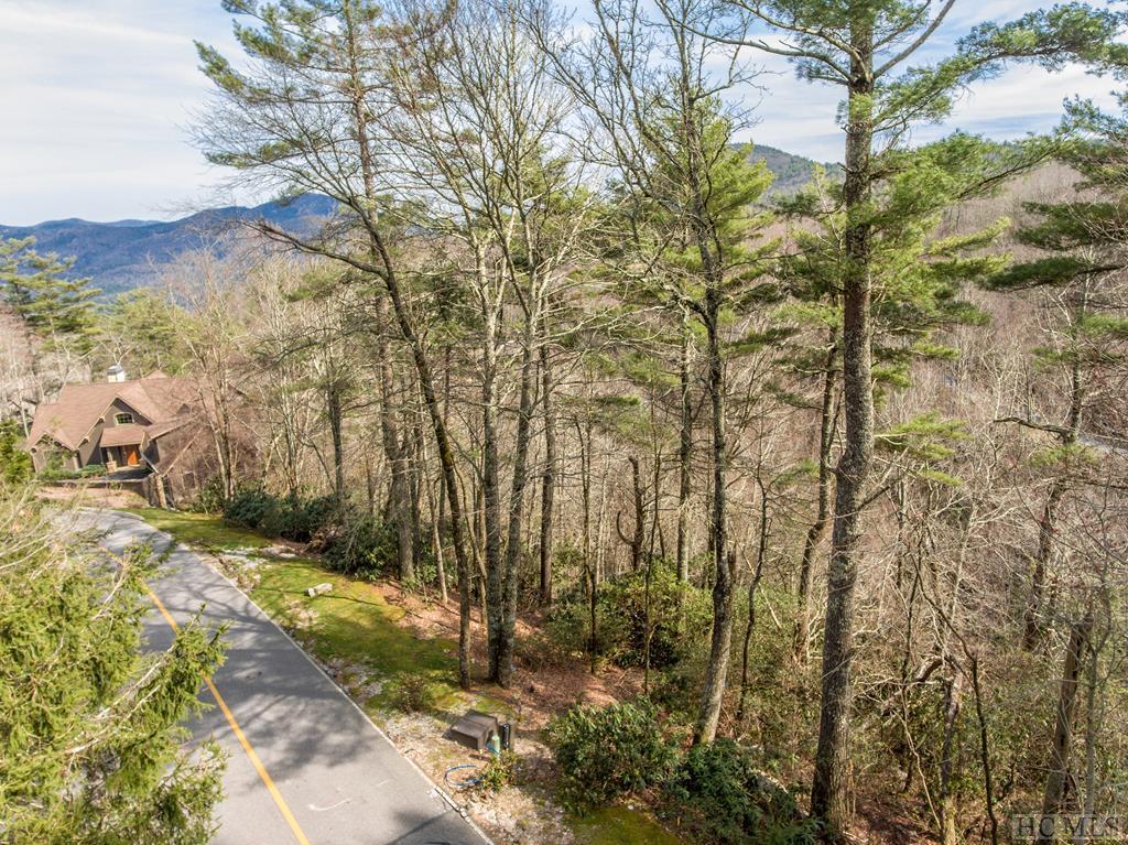#186 Lost Trail - Photo 1