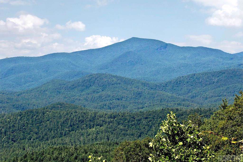 1051 Brushy Face Road - Photo 1