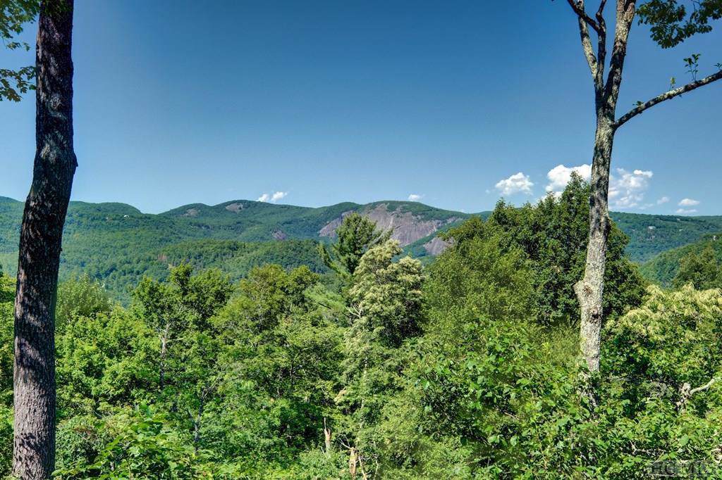 TBD, 4B Chattooga Ridge Trail - Photo 1